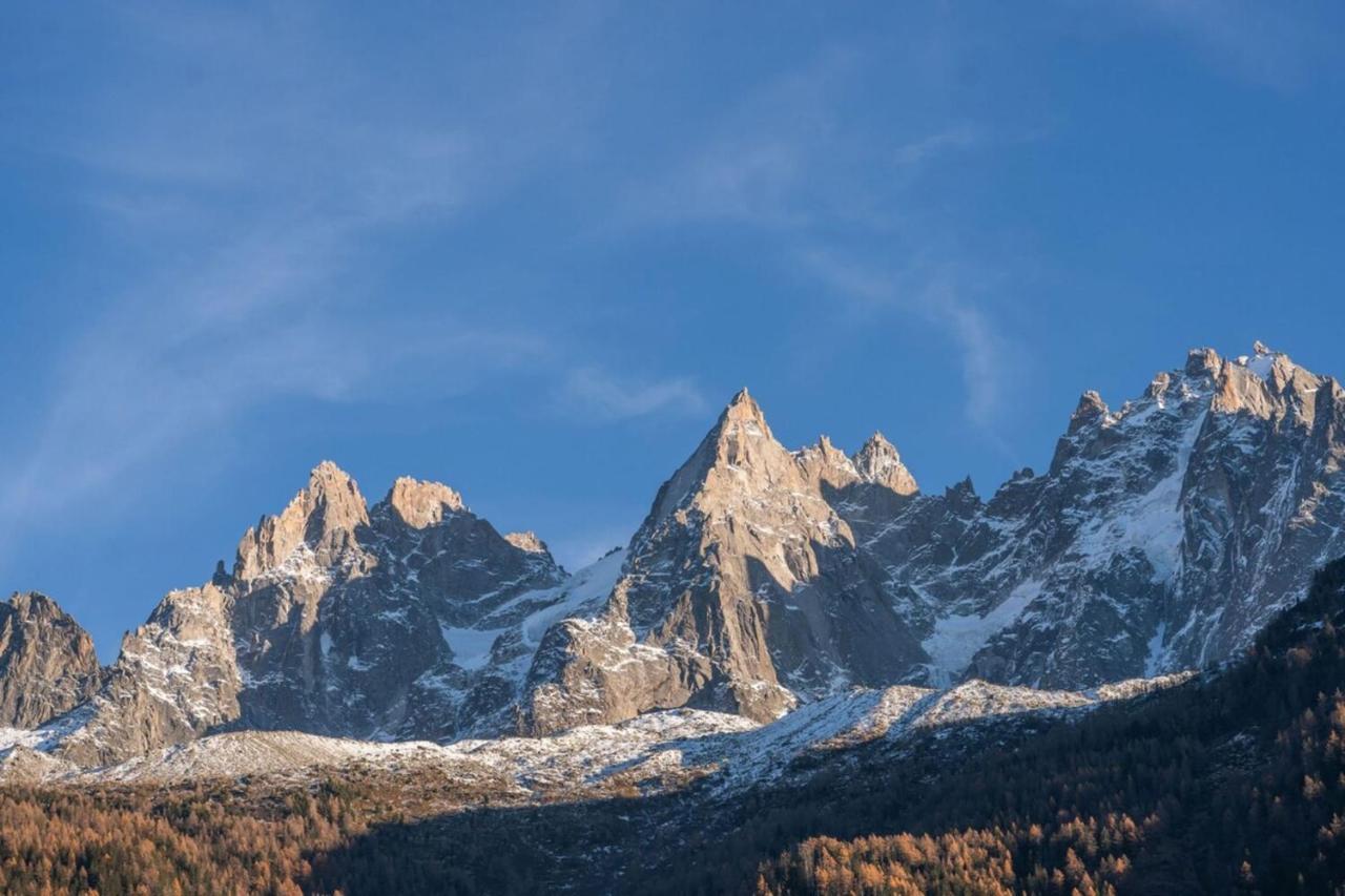 Portes Du Brevent -1 Bedroom Apartment With Magnificient Mont Blanc Views Шамони Екстериор снимка